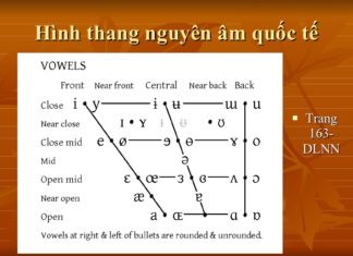 20 nguyên âm cơ bản để phát âm tiếng Anh chuẩn