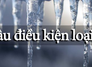 Cấu trúc câu điều kiện loại 0