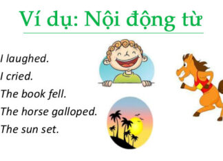 TẤT TẦN TẬT KIẾN THỨC VỀ NỘI ĐỘNG TỪ VÀ NGOẠI ĐỘNG TỪ